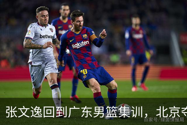张文逸回到广东男篮集训，北京夺冠功勋确定退役，上海欲续约弗格