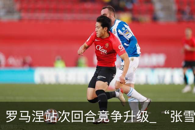 罗马涅站次回合竞争升级 “张雪机车”德比斯列第九